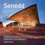 Senedd (English) - Preview