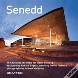 Capa do artigo Senedd (English)