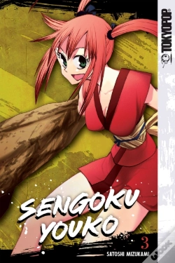 Capa do artigo Sengoku Youko, Volume 3