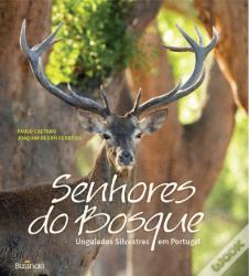 Senhores do Bosque