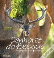 Capa do artigo Senhores do Bosque
