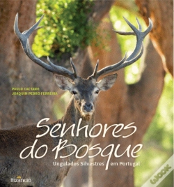 Capa do artigo Senhores do Bosque