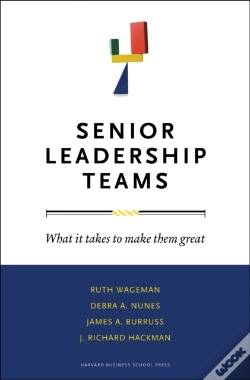 Capa do artigo Senior Leadership Teams