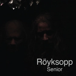 Capa do artigo Senior - Vinil