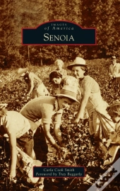 Senoia