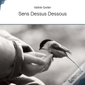 Capa do artigo Sens Dessus Dessous