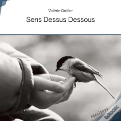 Capa do artigo Sens Dessus Dessous