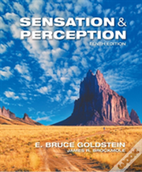 Sensation And Perception