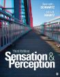 Sensation And Perception - Preview
