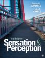 Sensation And Perception - Preview