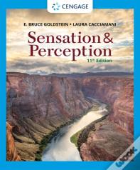 Sensation And Perception
