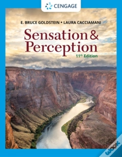 Capa do artigo Sensation And Perception