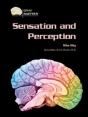 Sensation And Perception - Preview