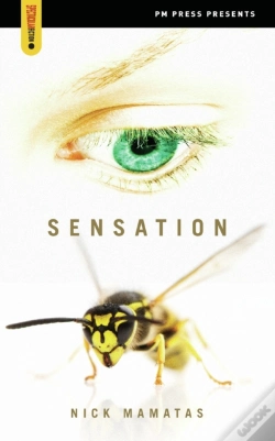 Capa do artigo Sensation
