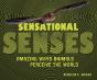 Sensational Senses - Preview