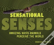 Capa do artigo Sensational Senses