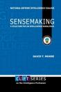 Sensemaking: A Structure For An Intelligence Revolution - Preview