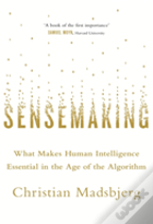 Sensemaking