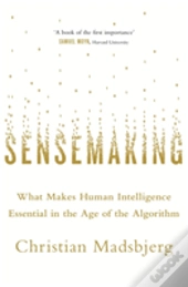 Sensemaking