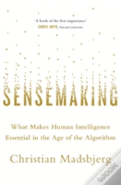 Capa do artigo Sensemaking