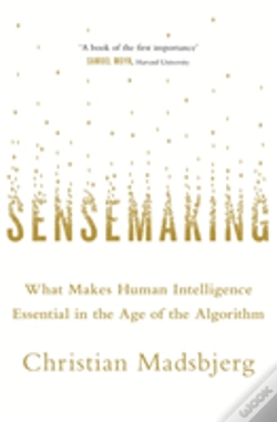 Capa do artigo Sensemaking