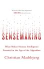 Sensemaking - Preview