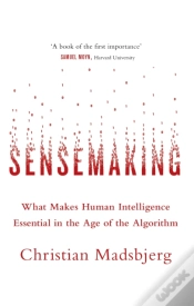 Capa do artigo Sensemaking