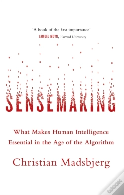 Capa do artigo Sensemaking