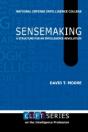 Sensemaking - Preview