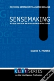 Capa do artigo Sensemaking