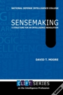 Capa do artigo Sensemaking