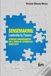 Capa do artigo Sensemaking