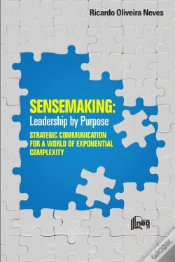 Capa do artigo Sensemaking