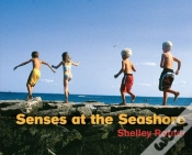 Capa do artigo Senses At The Seashore