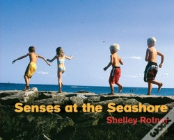 Capa do artigo Senses At The Seashore