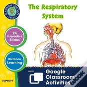 Capa do artigo Senses, Nervous & Respiratory Systems