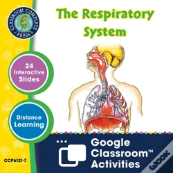 Capa do artigo Senses, Nervous & Respiratory Systems