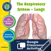 Capa do artigo Senses, Nervous & Respiratory Systems