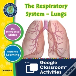 Capa do artigo Senses, Nervous & Respiratory Systems