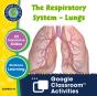 Senses, Nervous & Respiratory Systems - Preview