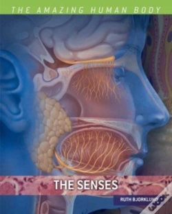 Capa do artigo Senses