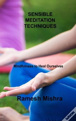 Capa do artigo Sensible Meditation Techniques