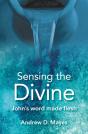 Sensing The Divine - Preview