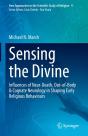 Sensing The Divine - Preview