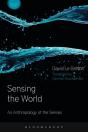 Sensing The World - Preview