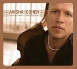 Capa do artigo Sensitive Hours -shaot Regishot - Vinil