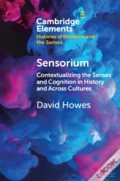 Capa do artigo Sensorium