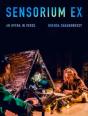 Sensorium Ex - Preview
