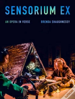 Capa do artigo Sensorium Ex