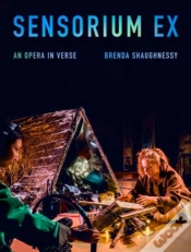 Capa do artigo Sensorium Ex